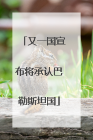 又一国宣布将承认巴勒斯坦国