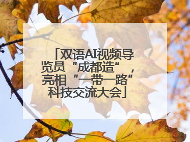 双语AI视频导览员“成都造”，亮相“一带一路”科技交流大会