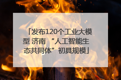 发布120个工业大模型 济南 “人工智能生态共同体”初具规模