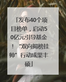 发布40个项目榜单，启动50亿元引导基金！“双向揭榜挂帅”行动成果丰硕