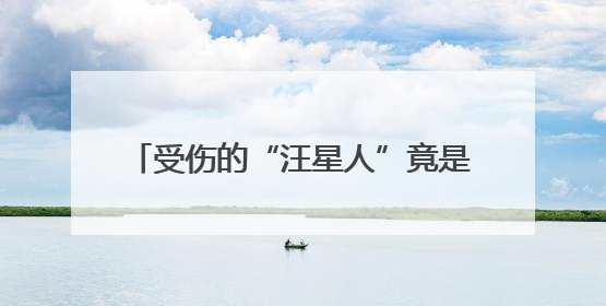 受伤的“汪星人”竟是保护动物！无为警民上演70公里爱心接力