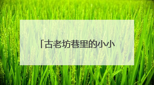 古老坊巷里的小小讲解员：童真童言传递乡愁与乡情