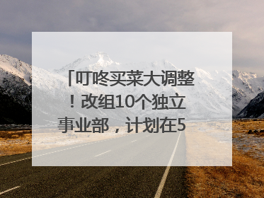 叮咚买菜大调整！改组10个独立事业部，计划在5月完成App端全面改版