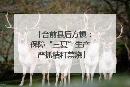 台前县后方镇：保障“三夏”生产 严抓秸秆禁烧