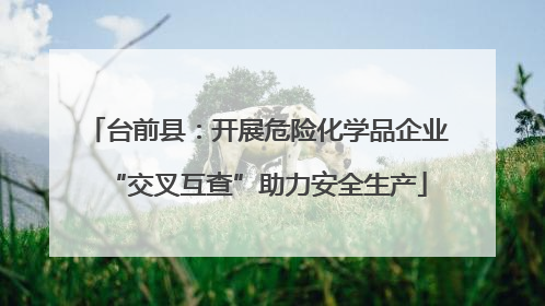 台前县：开展危险化学品企业“交叉互查”助力安全生产
