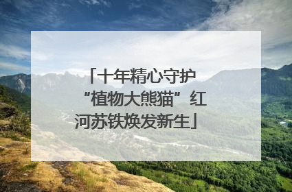 十年精心守护 “植物大熊猫”红河苏铁焕发新生