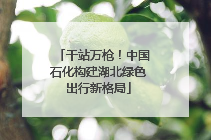 千站万枪！中国石化构建湖北绿色出行新格局