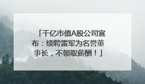千亿市值A股公司宣布：续聘雷军为名誉董事长，不领取薪酬！