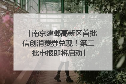 南京建邺高新区首批信创消费券兑现！第二批申报即将启动