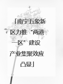南宁五象新区力推“两港一区”建设 产业集聚效应凸显