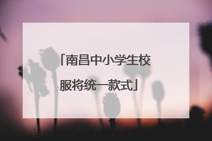 南昌中小学生校服将统一款式
