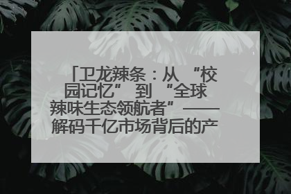 卫龙辣条：从 “校园记忆” 到 “全球辣味生态领航者”——解码千亿市场背后的产品创新与全链路破圈