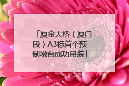 厦金大桥（厦门段）A3标首个预制墩台成功吊装