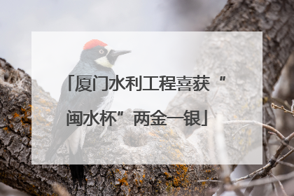 厦门水利工程喜获“闽水杯”两金一银