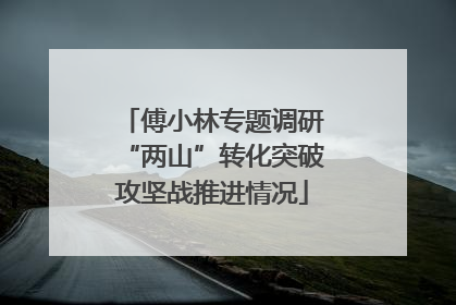 傅小林专题调研“两山”转化突破攻坚战推进情况
