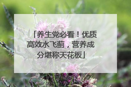养生党必看！优质高效水飞蓟，营养成分堪称天花板