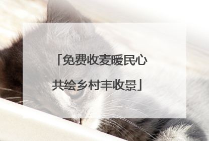 免费收麦暖民心 共绘乡村丰收景