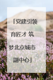 党建引领育匠才 筑梦北京城市副中心
