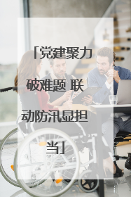 党建聚力破难题 联动防汛显担当