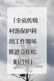 全省传统村落保护利用工作现场推进会在松阳召开