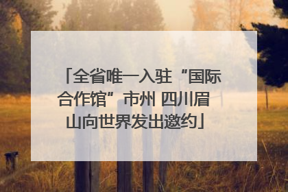 全省唯一入驻“国际合作馆”市州 四川眉山向世界发出邀约