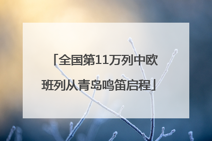 全国第11万列中欧班列从青岛鸣笛启程