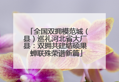 全国双拥模范城（县）巡礼河北省大厂县：双拥共建结硕果 蝉联殊荣谱新篇