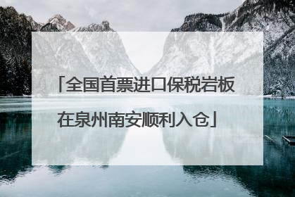 全国首票进口保税岩板在泉州南安顺利入仓