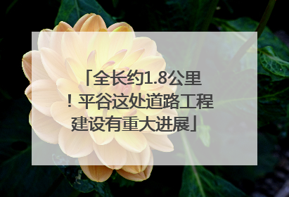 全长约1.8公里！平谷这处道路工程建设有重大进展