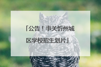 公告！事关忻州城区学校招生划片