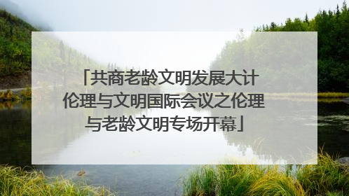 共商老龄文明发展大计 伦理与文明国际会议之伦理与老龄文明专场开幕