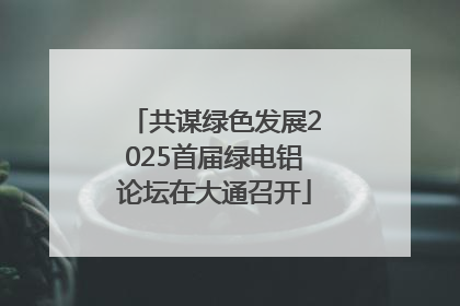 共谋绿色发展2025首届绿电铝论坛在大通召开