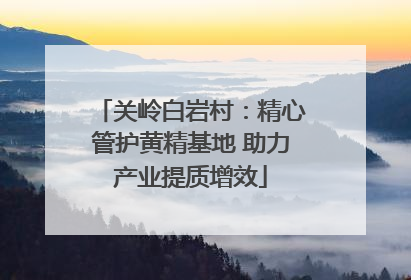 关岭白岩村：精心管护黄精基地 助力产业提质增效