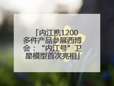 内江携1200多件产品参展西博会：“内江号”卫星模型首次亮相