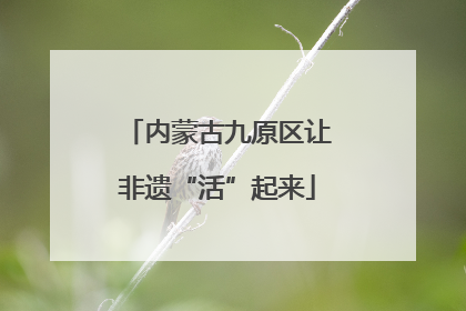 内蒙古九原区让非遗“活”起来