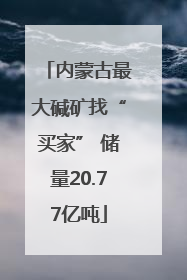 内蒙古最大碱矿找“买家” 储量20.77亿吨
