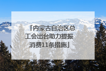 内蒙古自治区总工会出台助力提振消费11条措施