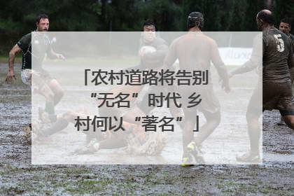 农村道路将告别“无名”时代 乡村何以“著名”