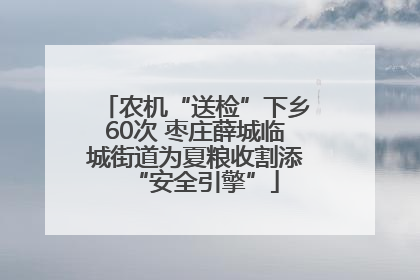 农机“送检”下乡60次 枣庄薛城临城街道为夏粮收割添“安全引擎”