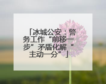冰城公安：警务工作“前移一步”矛盾化解“主动一分”