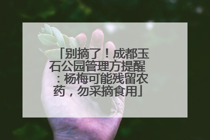 别摘了！成都玉石公园管理方提醒：杨梅可能残留农药，勿采摘食用
