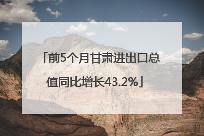 前5个月甘肃进出口总值同比增长43.2%