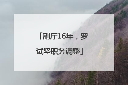副厅16年，罗试坚职务调整