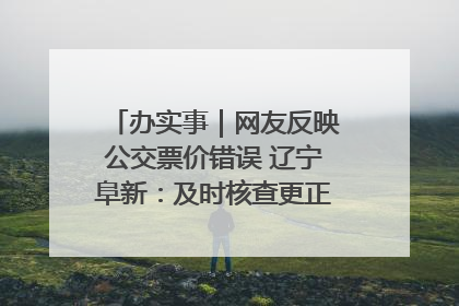 办实事｜网友反映公交票价错误 辽宁阜新：及时核查更正 加强实时巡检