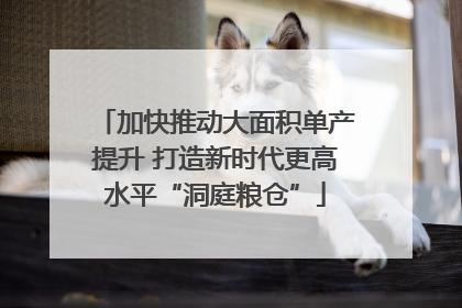加快推动大面积单产提升 打造新时代更高水平“洞庭粮仓”