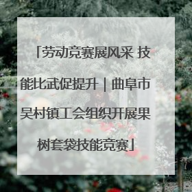 劳动竞赛展风采 技能比武促提升｜曲阜市吴村镇工会组织开展果树套袋技能竞赛