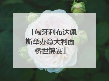 匈牙利布达佩斯举办意大利面桥世锦赛
