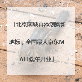 北京南城再添潮购新地标，全国最大京东MALL端午开业