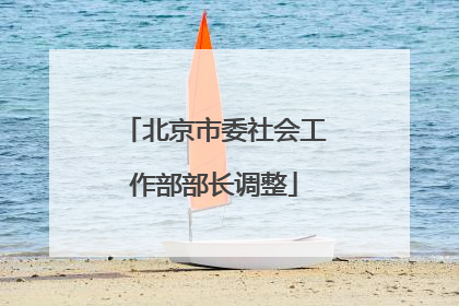 北京市委社会工作部部长调整