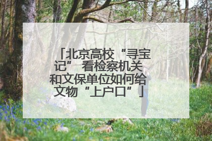 北京高校“寻宝记” 看检察机关和文保单位如何给文物“上户口”